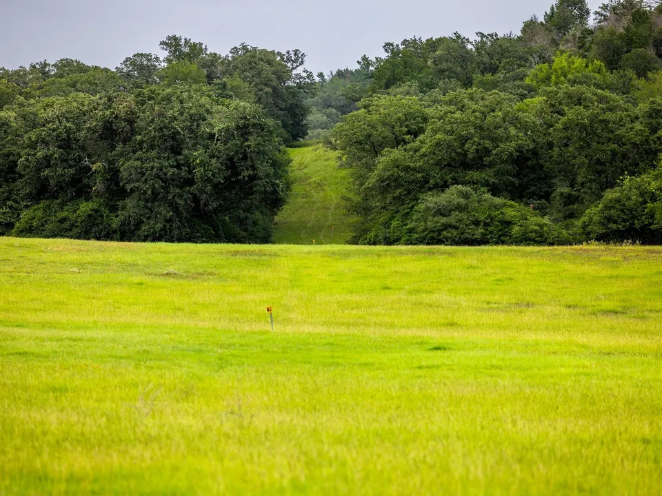 Brazos Sands Ranch | 1,136.26-Acre Luxury Ranch, Hunting & Recreational Land in Calvert, Texas
